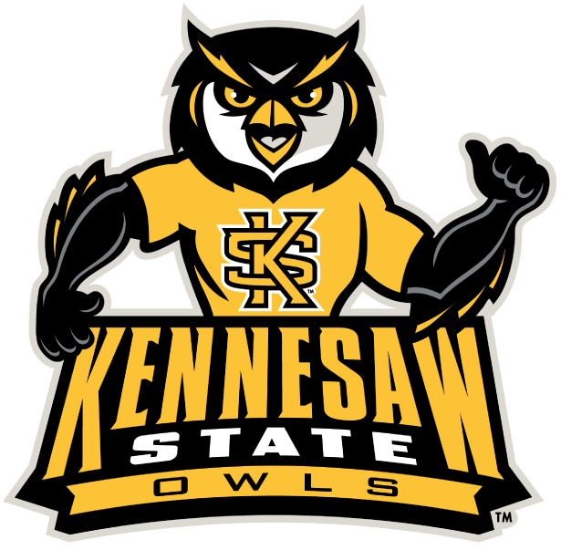 Kennesaw State Owls 2012-Pres Mascot Logo v2 iron on transfers for fabric